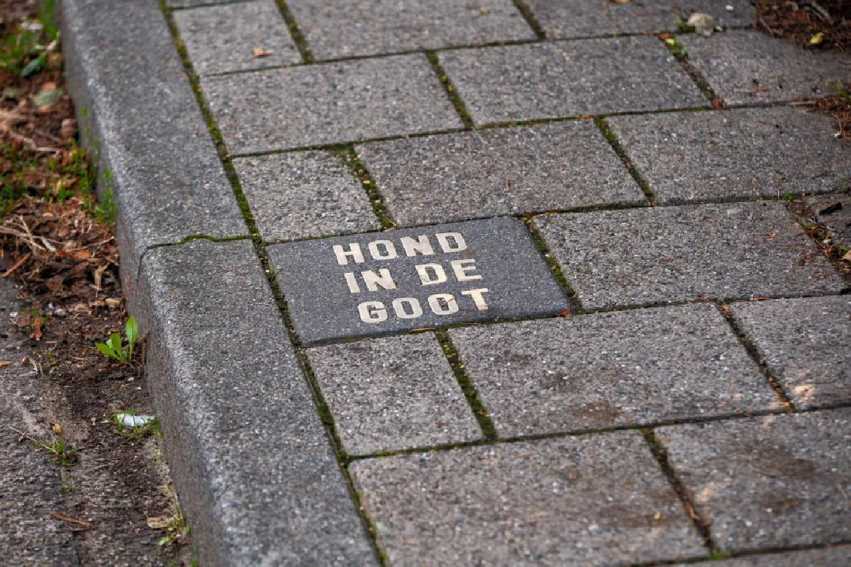 Close-up of a Dutch sidewalk with text 'Hond in de Goot' on paving stones.