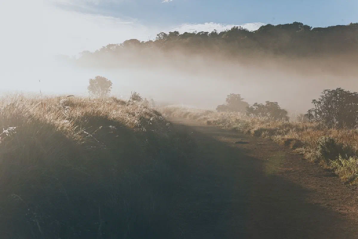 Serene misty morning in Sri Lanka's countryside with sunlight breaking through the fog on a rural pathway.