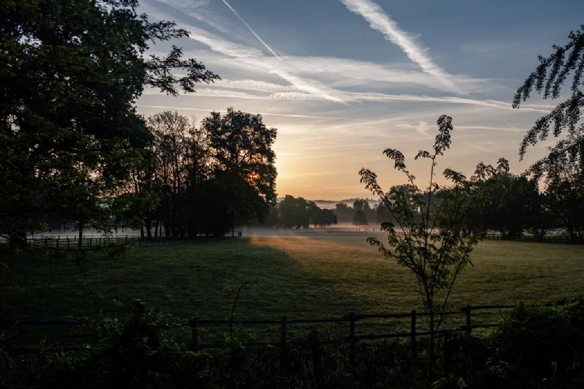 A serene sunrise over a misty countryside landscape with trees and a fence, exuding peace and natural beauty.