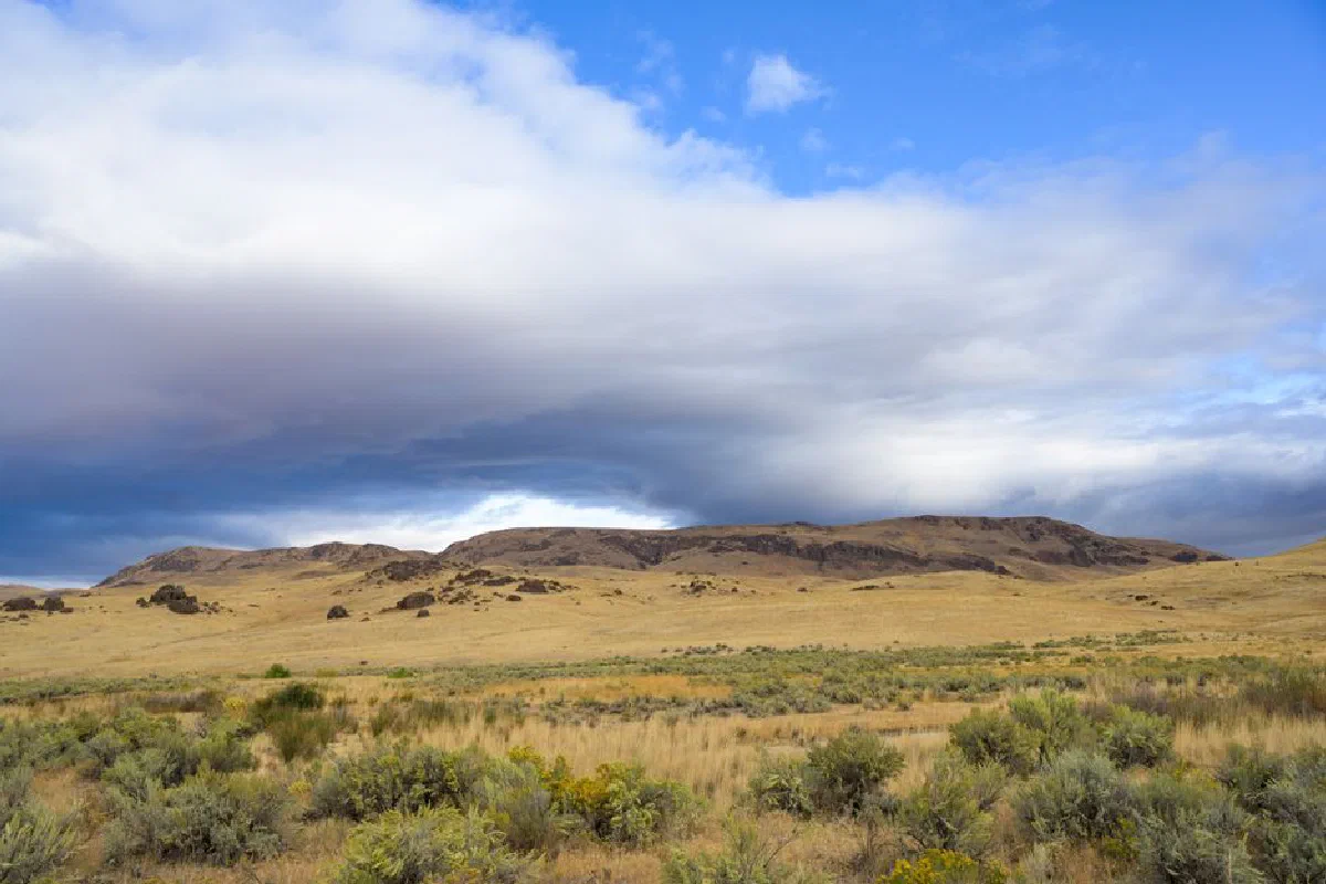 Picturesque view of endless valley covered with dry plants and bushes against hills under clouds