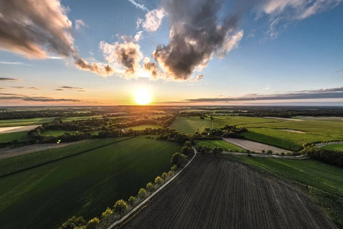 Scenic aerial landscape of lush green fields at sunrise in Ruinen, Netherlands. Perfect for travel and nature concepts.