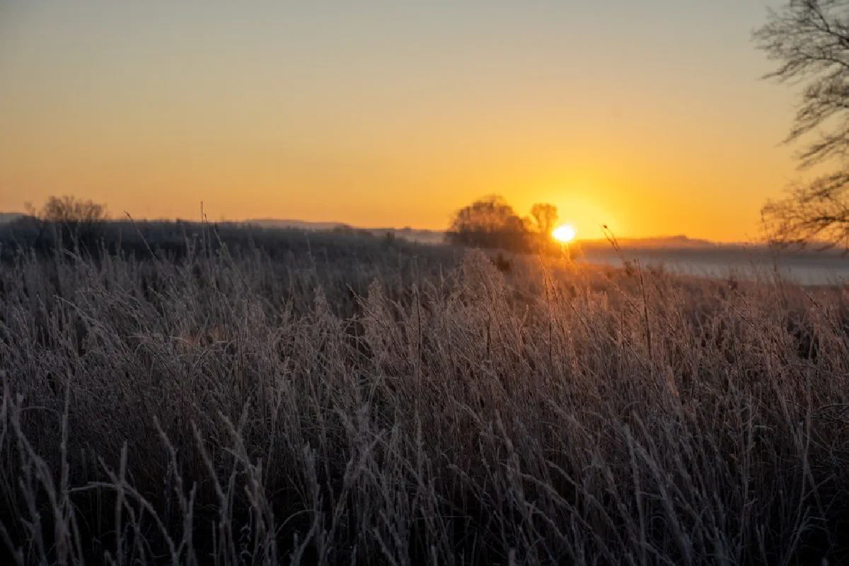 Golden sunrise over frosty fields in West Newton, MN. A tranquil rural landscape.