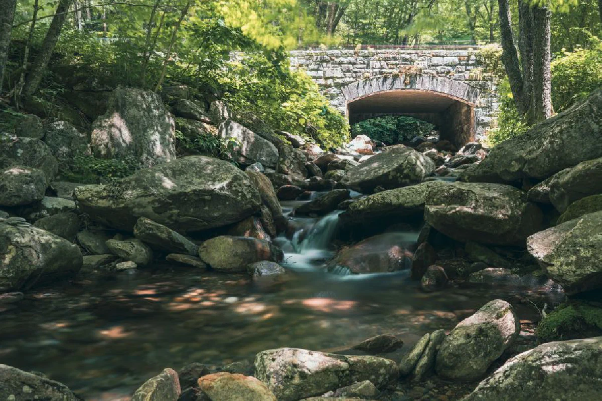 Picturesque stone bridge over a gentle stream in a lush forest in Gatlinburg, TN.