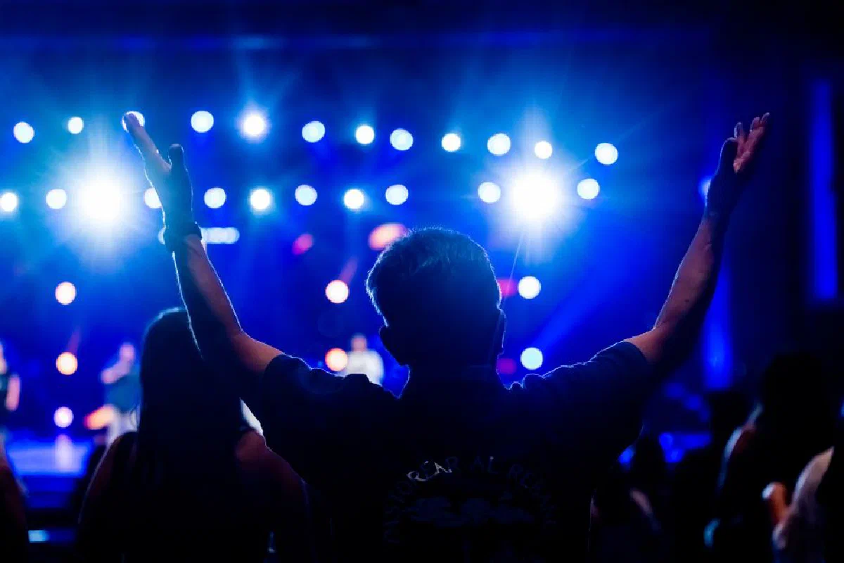 A vibrant concert scene with a person raising arms in excitement at a live music event.