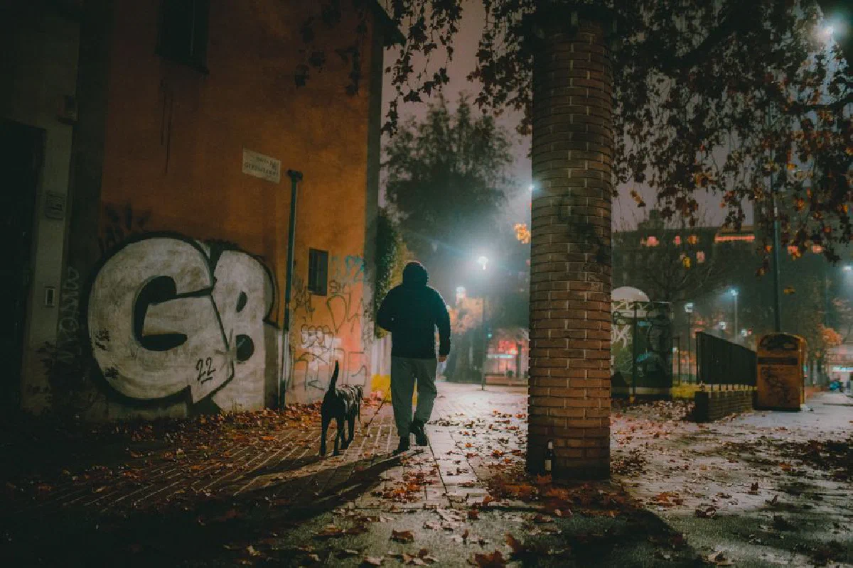 Man walking dog on a graffiti-lined street at night, autumn setting.