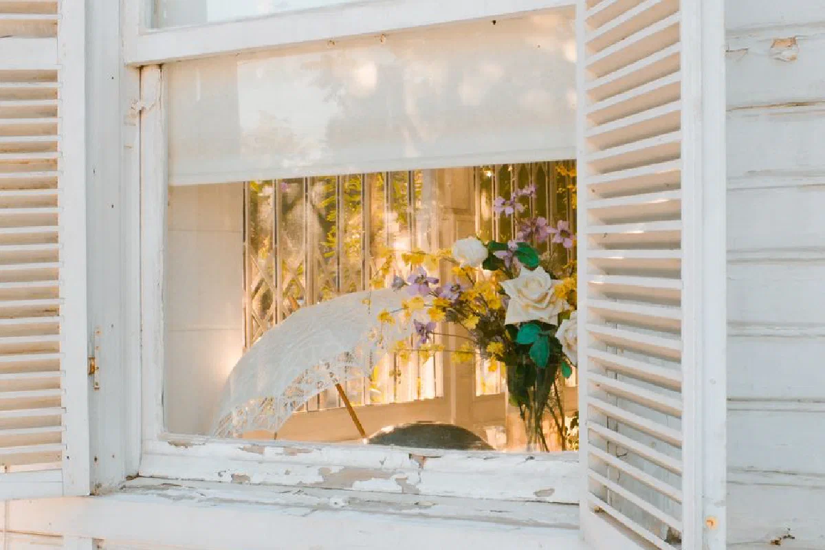 A quaint view through a window with a floral arrangement in İstanbul.