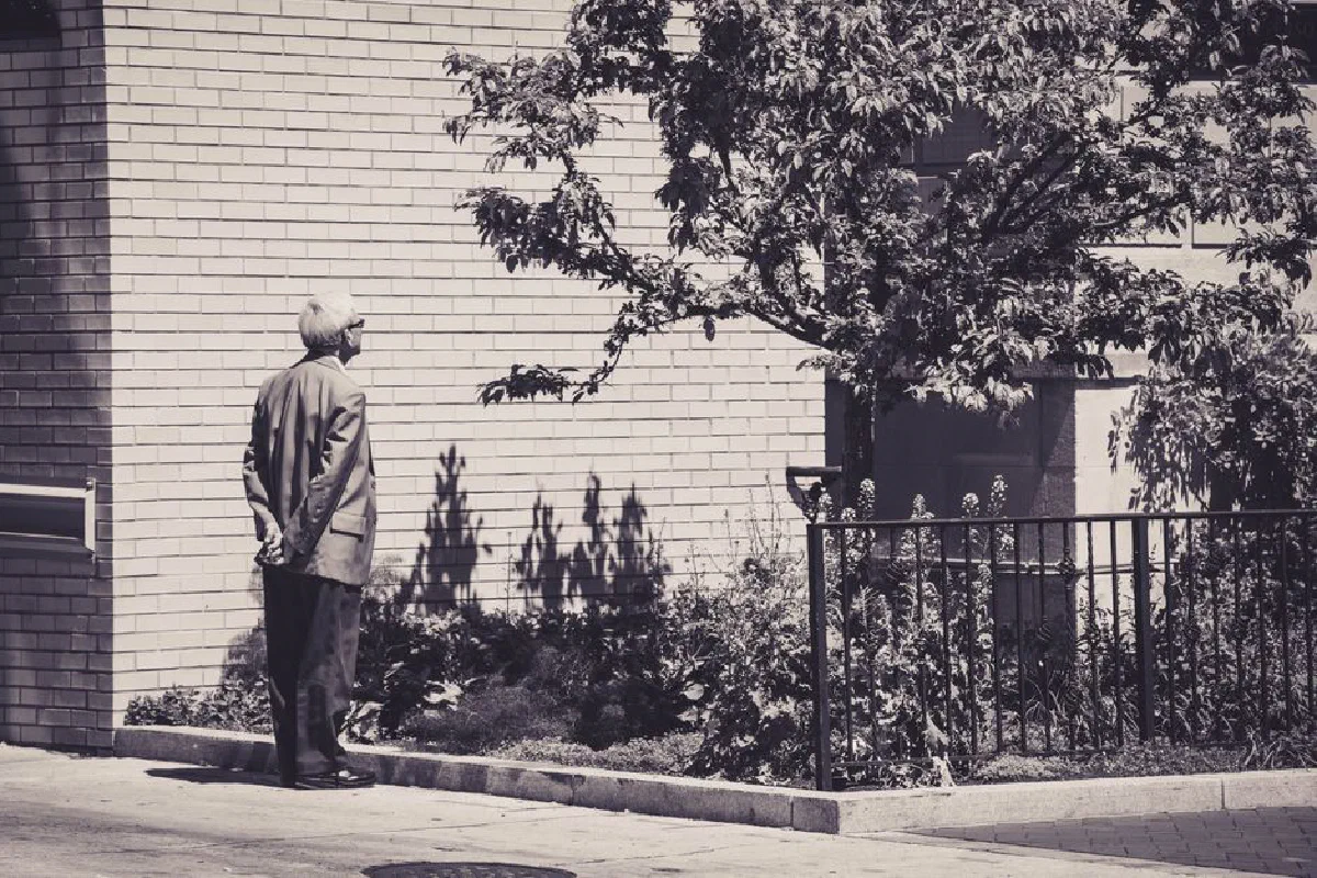 A senior man stands thoughtfully near a garden in an urban setting, casting shadows on a brick wall.