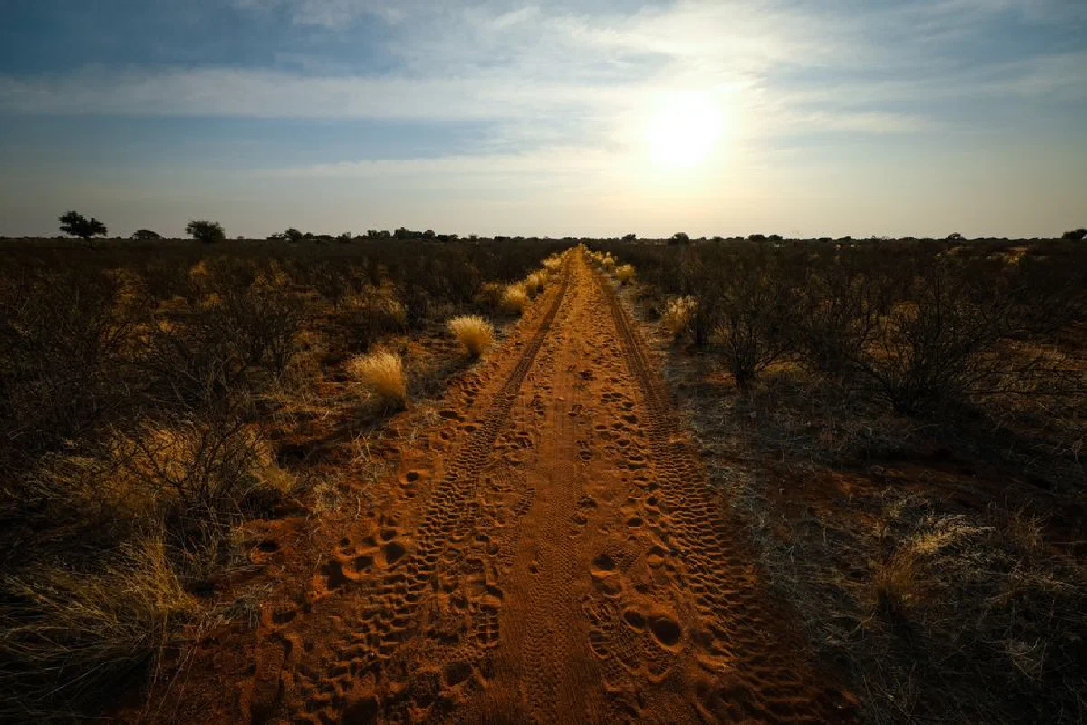 A picturesque dirt road stretches across a rural landscape under a warm sunset, surrounded by dry vegetation.