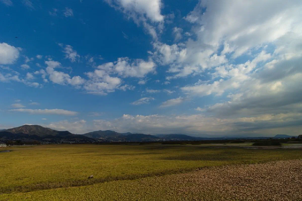 Wide open field with green grass under a bright, cloudy blue sky and distant mountains.