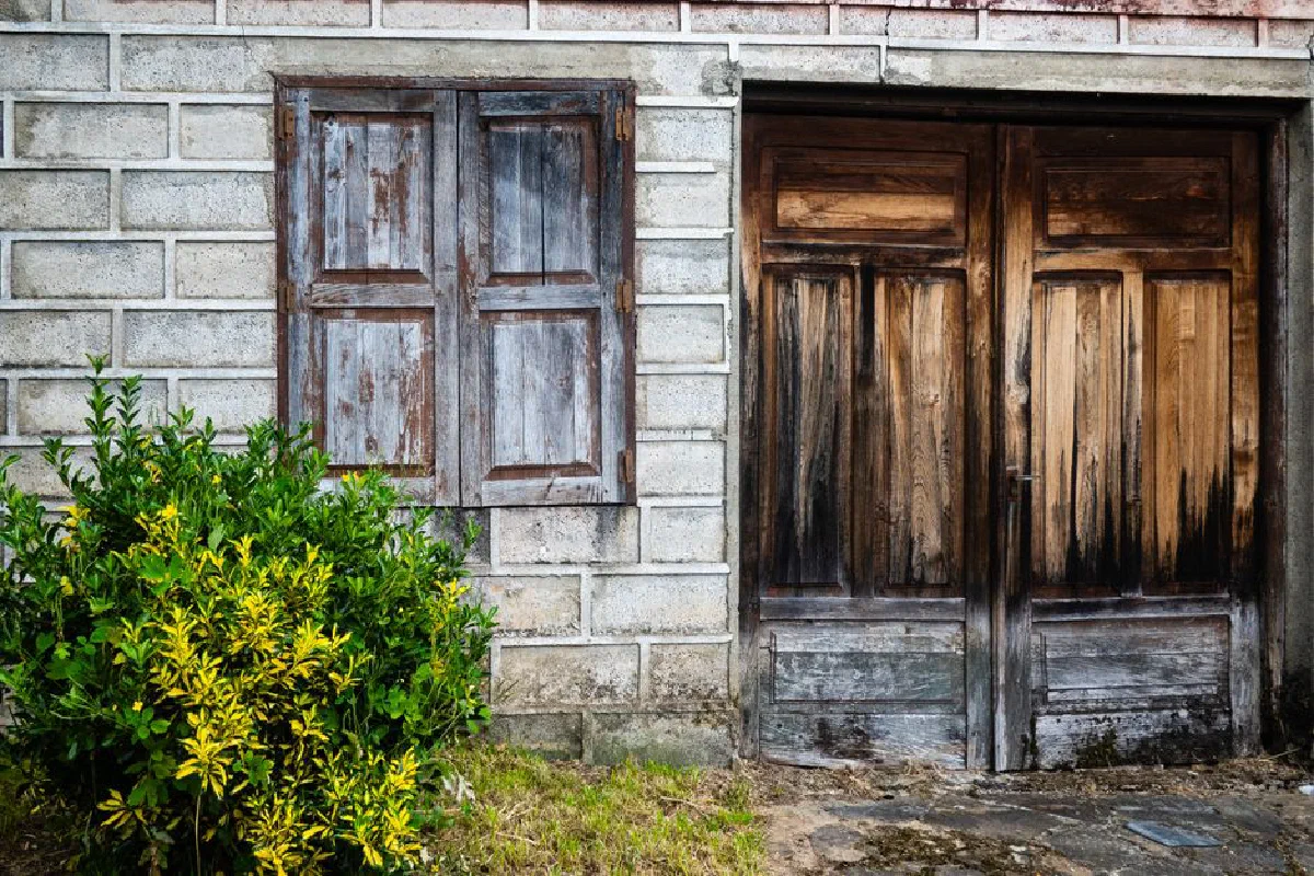 Vintage wooden door and window on a rustic stone building exterior, with surrounding greenery.