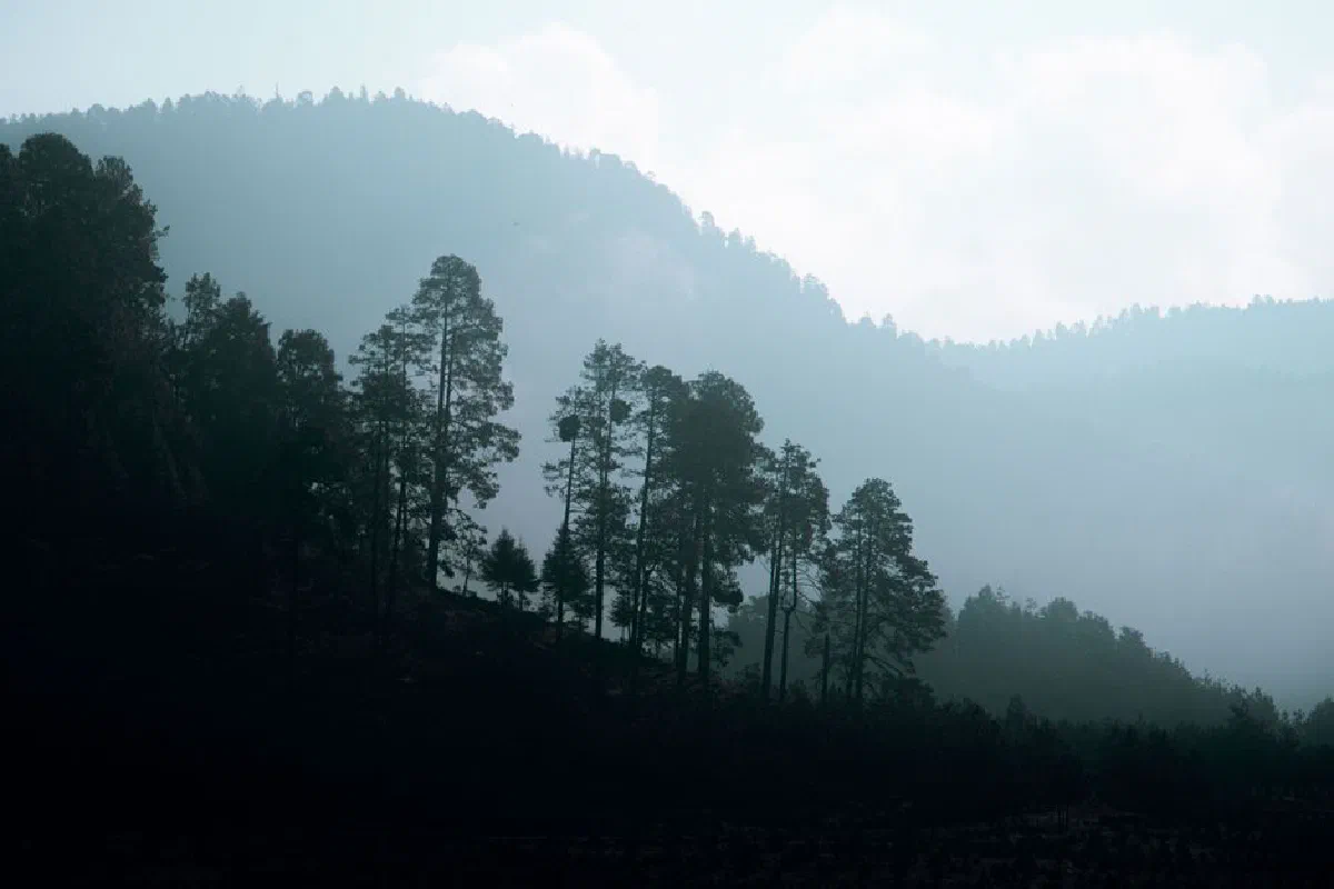 A tranquil forest silhouette against misty mountains in Valle de Bravo, Mexico.