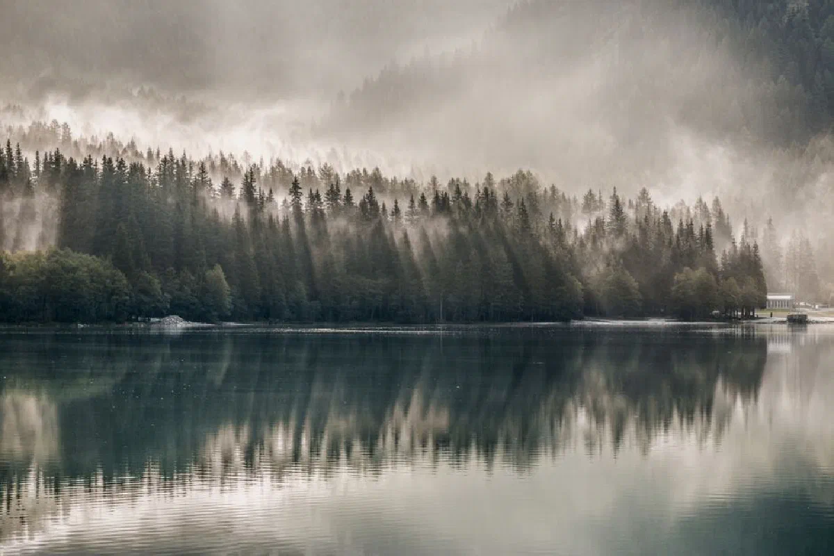 Serene foggy forest reflected on a tranquil lake, creating a mystical natural landscape.