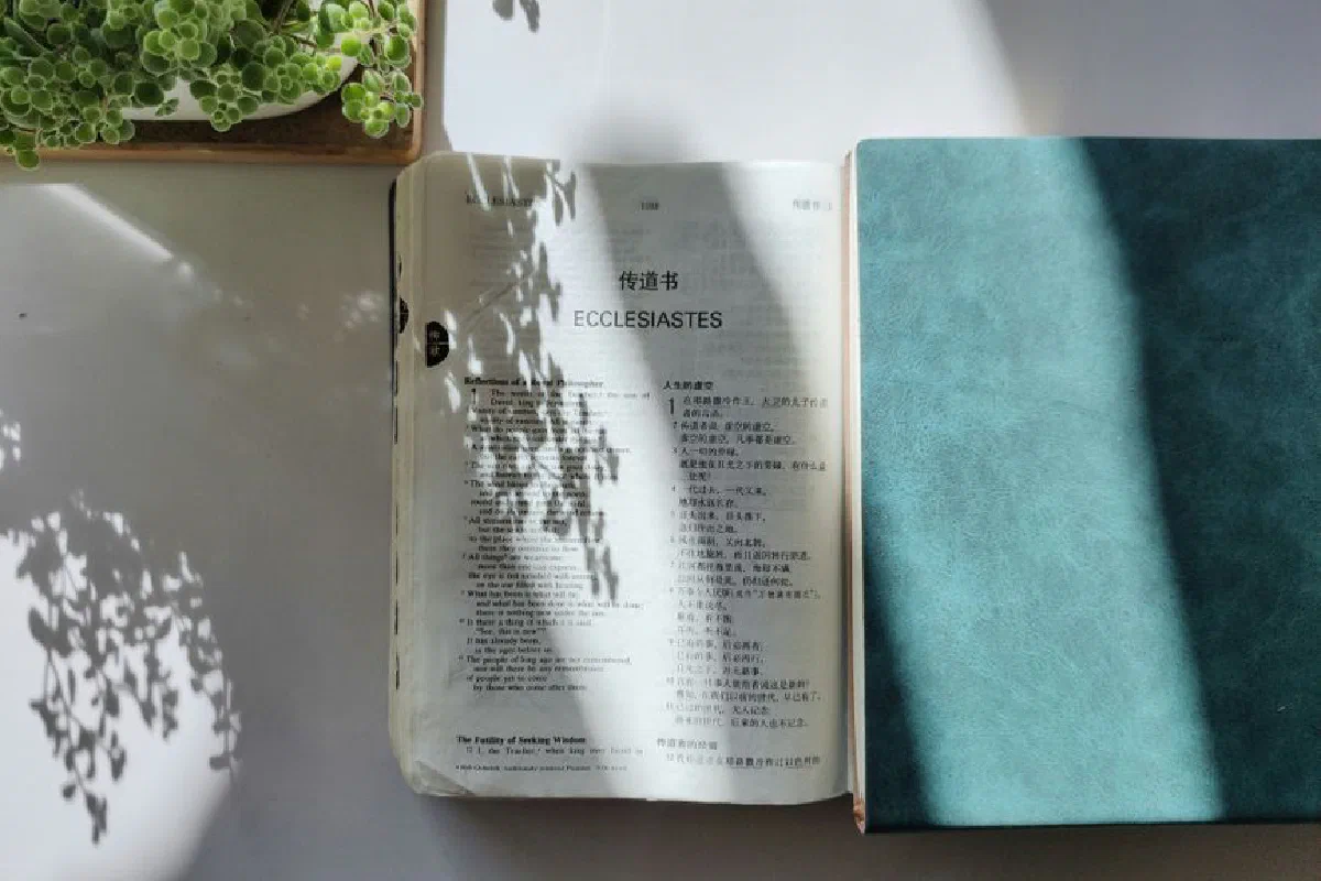 An open Bible displaying Ecclesiastes with sunlight and plant shadows on a white table.