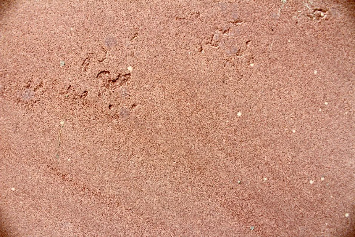 Close-up of fine sand texture showing natural patterns and colors.