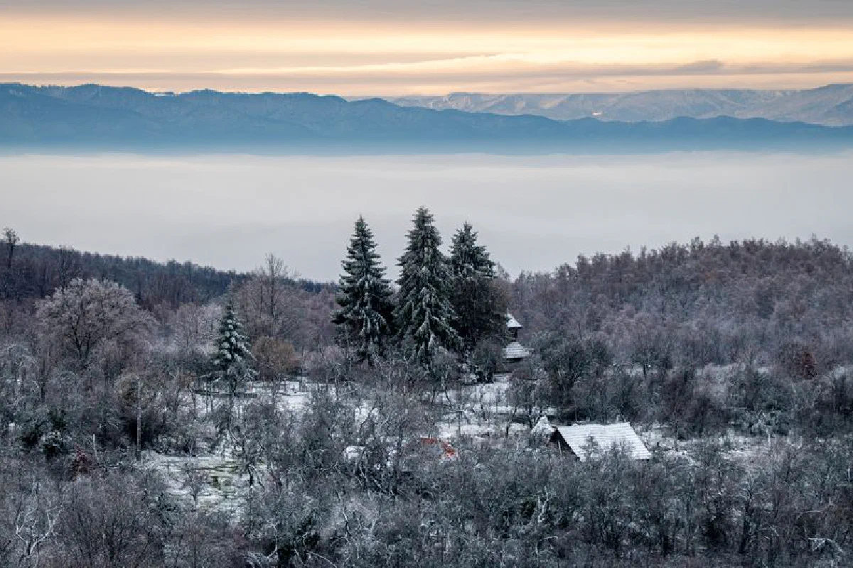 Serene winter landscape with snowy village and frosty trees under a cloudy sky.