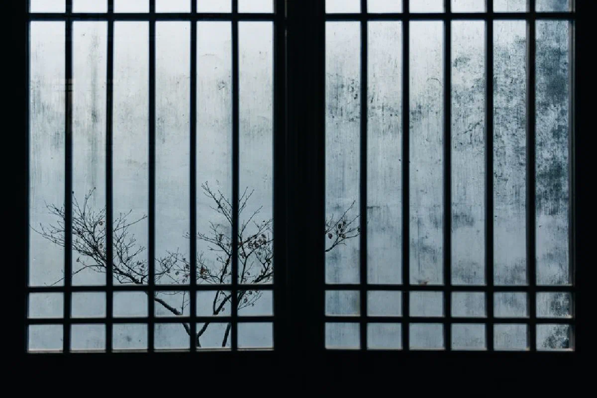 A tranquil view of bare branches through frosted window bars on a winter day.