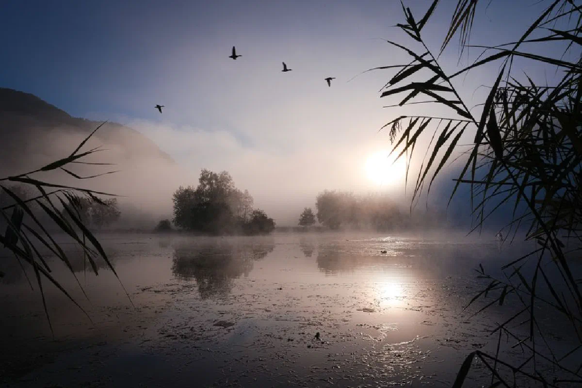 Scenic view of birds flying over a misty lake at sunrise in Auvergne-Rhône-Alpes, France.