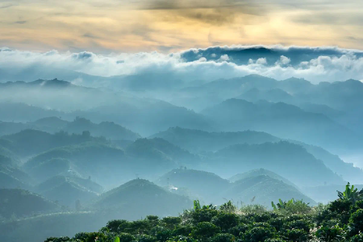 Mist rolls over lush hills at dawn, creating a breathtaking serene landscape.