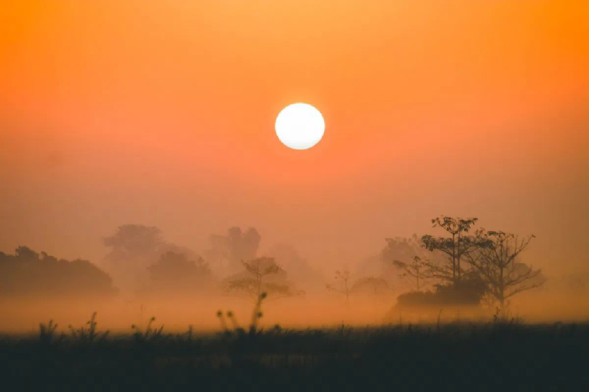 A breathtaking view of the sun setting over a misty, tree-lined landscape during golden hour.