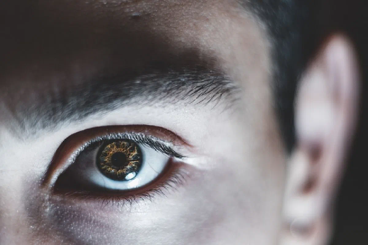 Detailed close-up of a human eye showcasing intricate patterns and vivid colors.