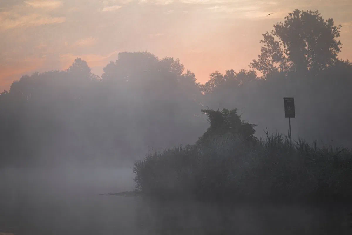 Serene misty river at sunrise with silhouetted trees and reflective water surface.