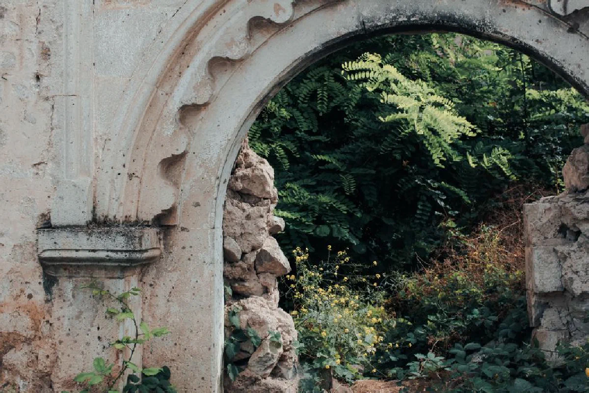 A detailed view of an ancient stone arch overgrown with lush greenery and ferns.