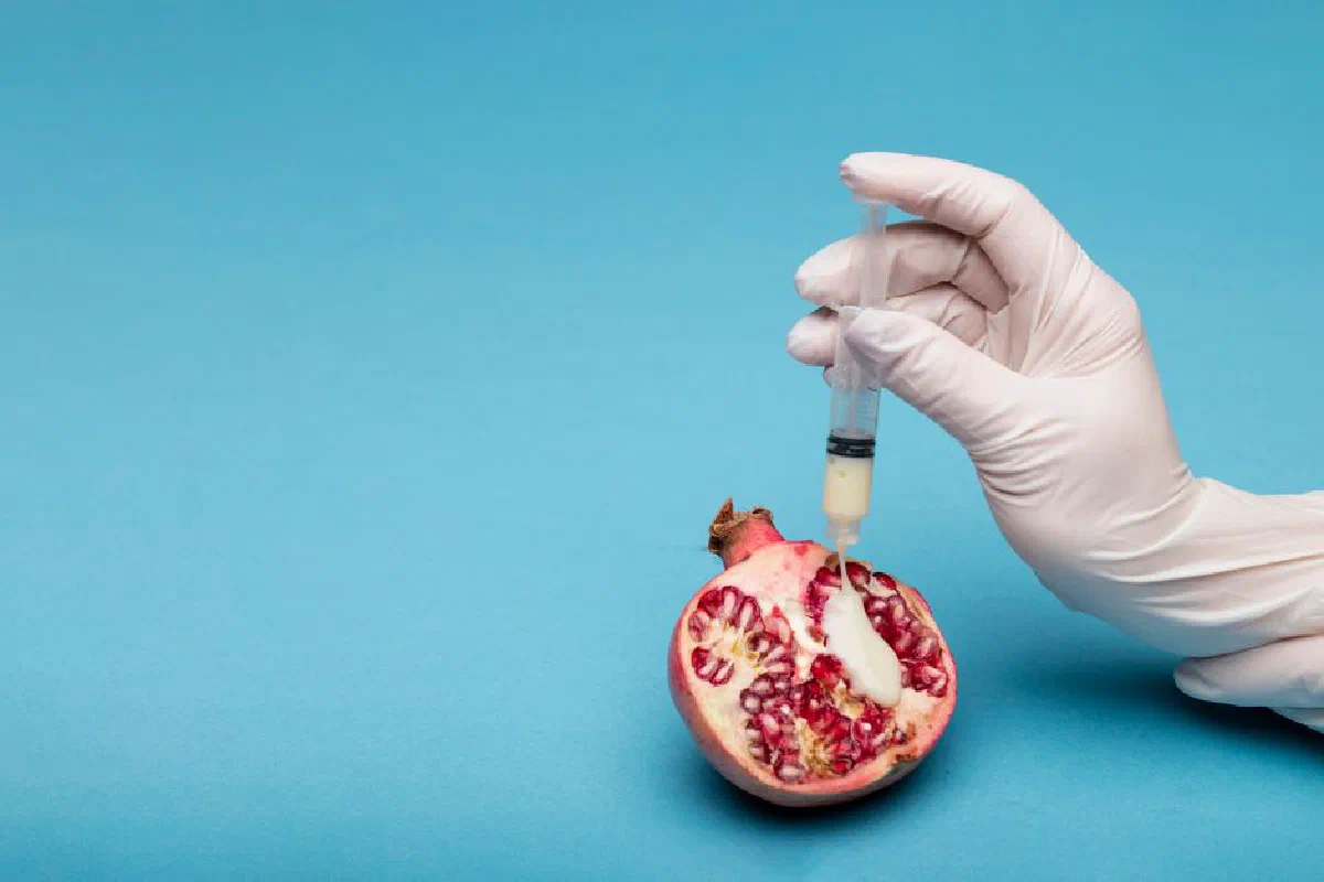 A thought-provoking still life image of a pomegranate and syringe, symbolizing fertility and artificial insemination.