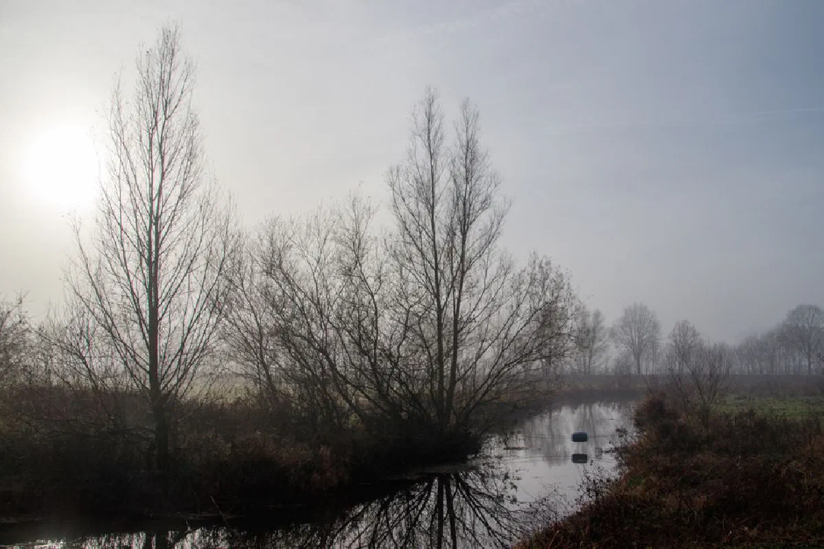 Serene misty landscape with bare trees reflected in a calm river during winter morning.