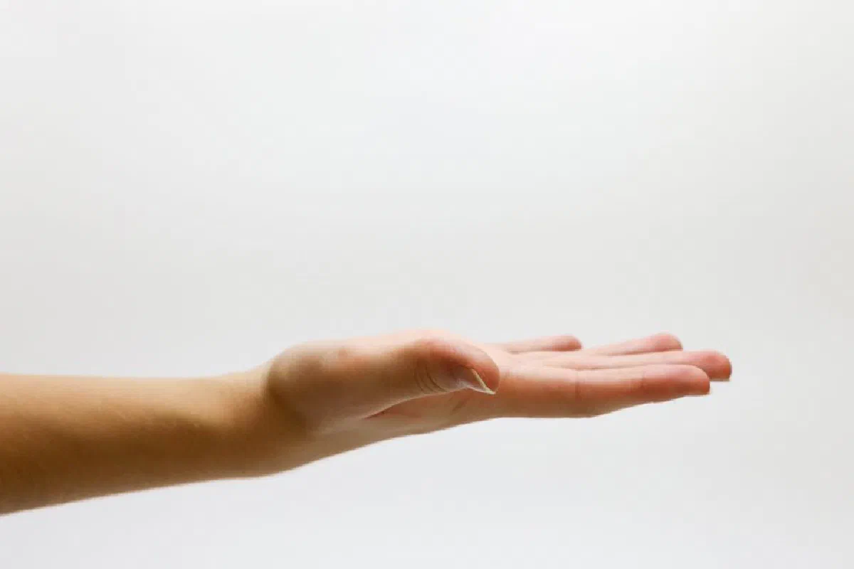 Detailed close-up of an open human hand on a white background, emphasizing gestures and expressions.
