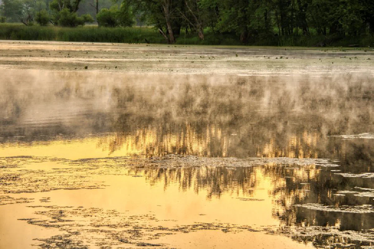 Tranquil morning mist on a serene lake with reflections of trees in Minnesota.
