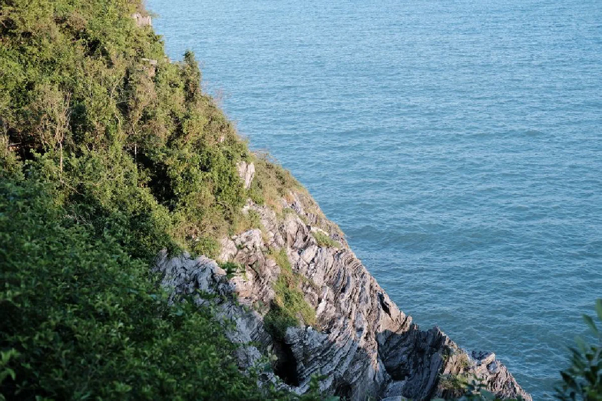 Lush green cliffs meet the clear blue ocean, creating a tranquil natural landscape.