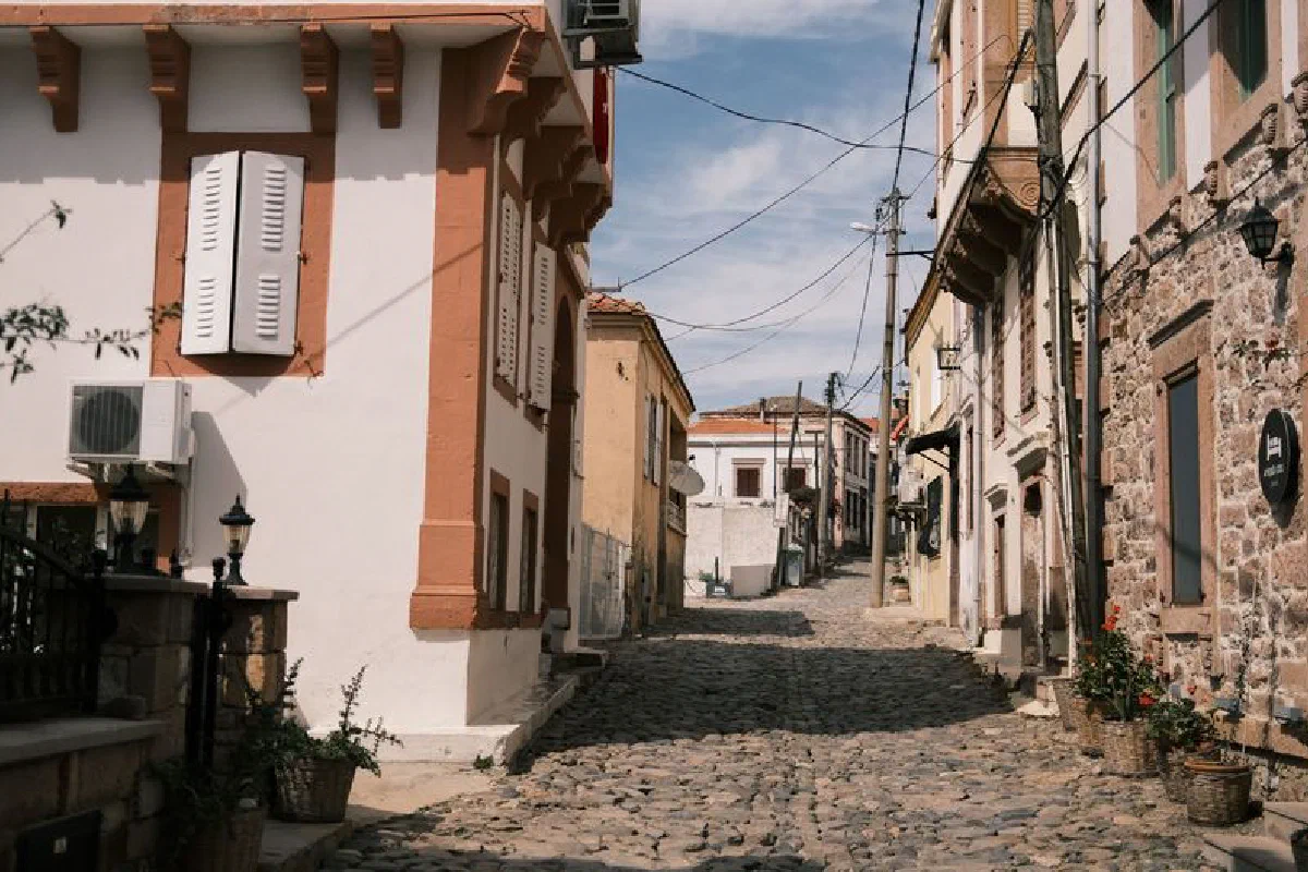 Explore a quaint cobblestone alley lined with historic buildings, bathed in summer sunlight.