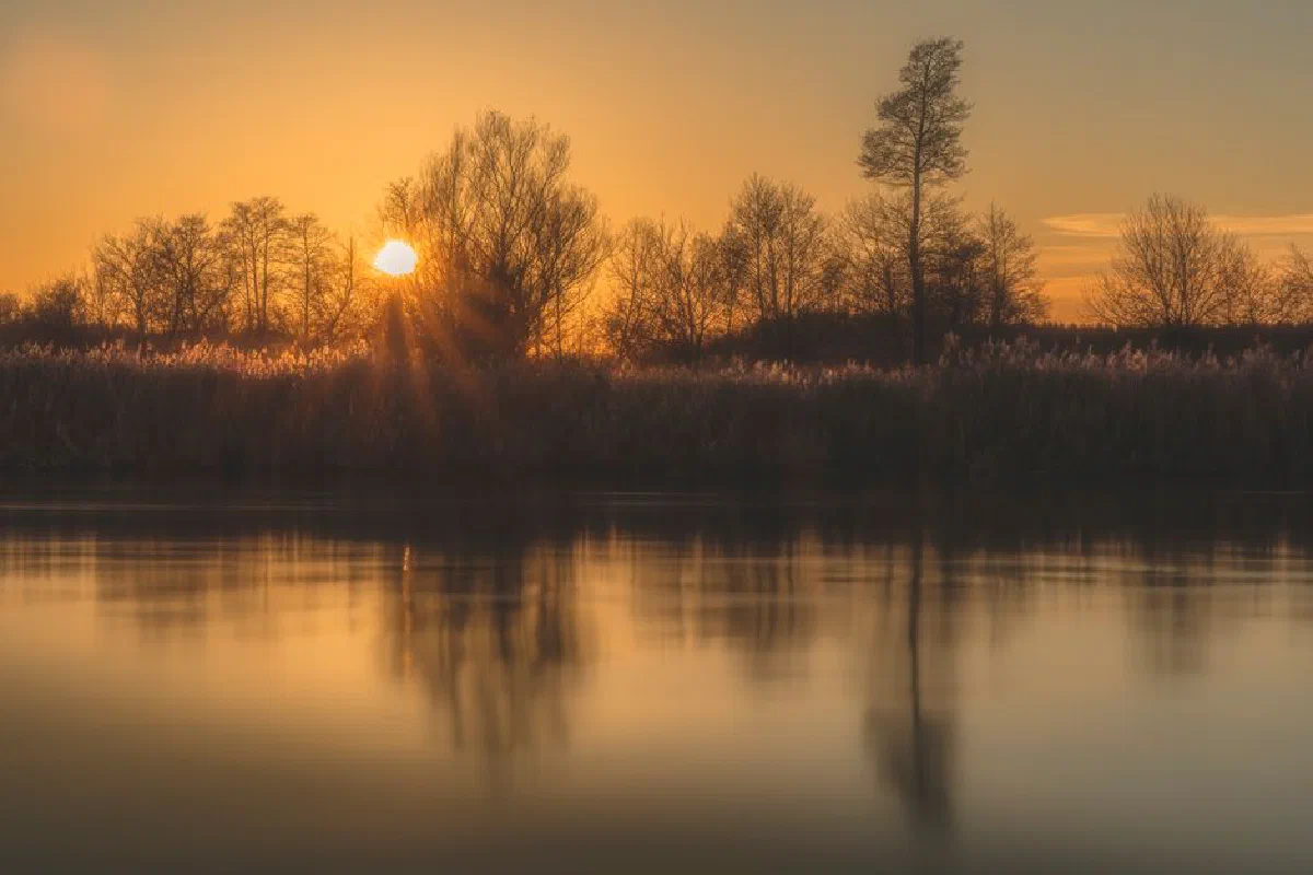 Tranquil river scene at sunset with reflected trees and warm golden tones.