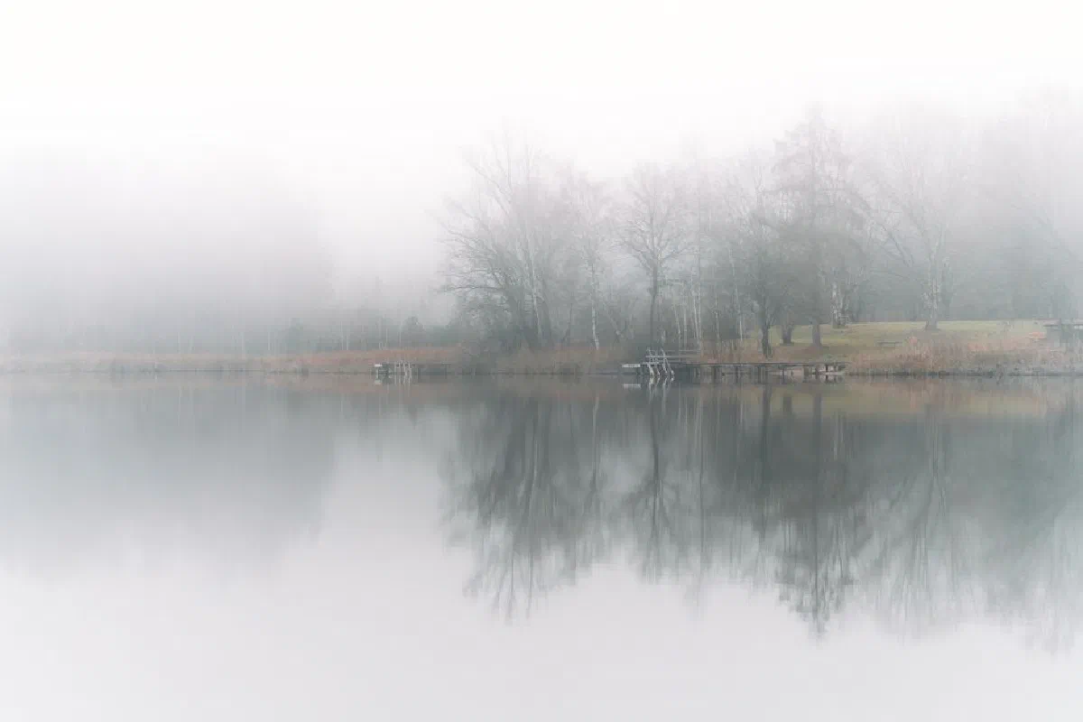 A tranquil misty lake scene reflecting bare trees and a solitary dock in a foggy atmosphere.