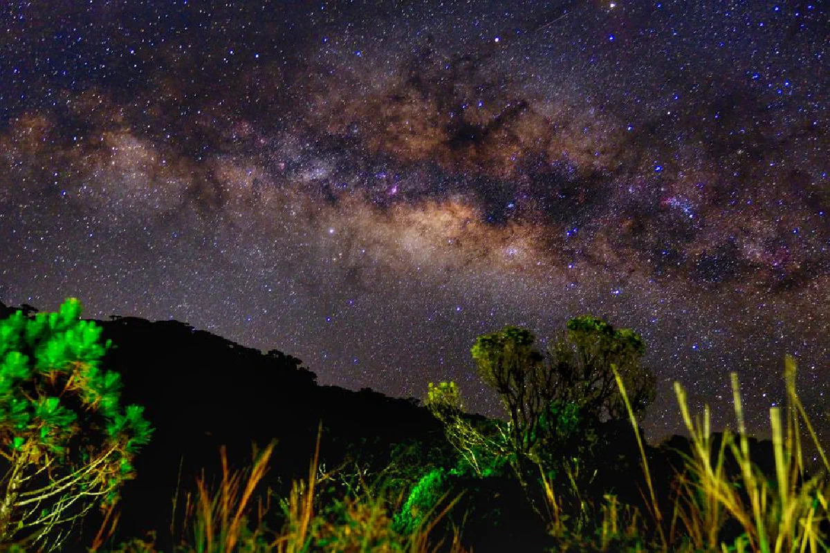 Stunning view of the Milky Way galaxy above a verdant landscape, filled with twinkling stars.