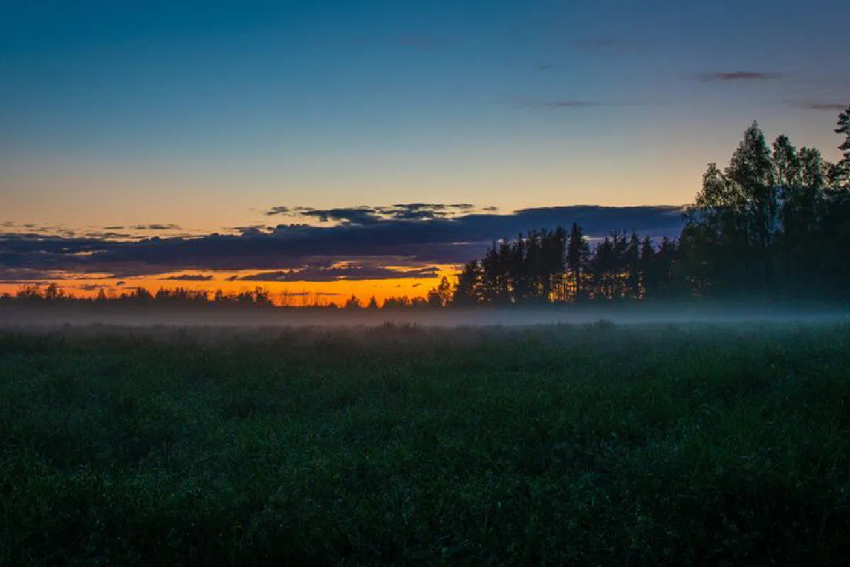 A serene misty field under a vibrant twilight sky with trees outlined against the horizon.