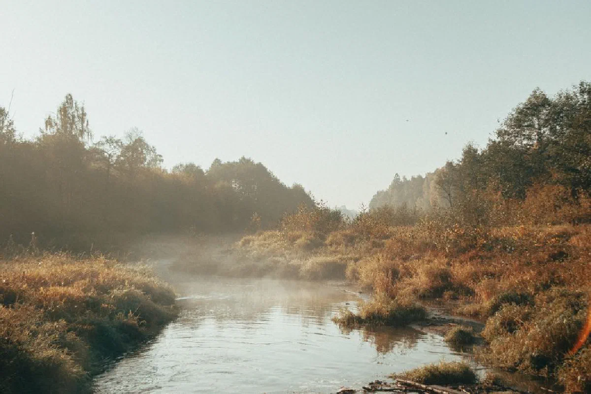 Serene autumn river landscape with mist and sunlit foliage at dawn.