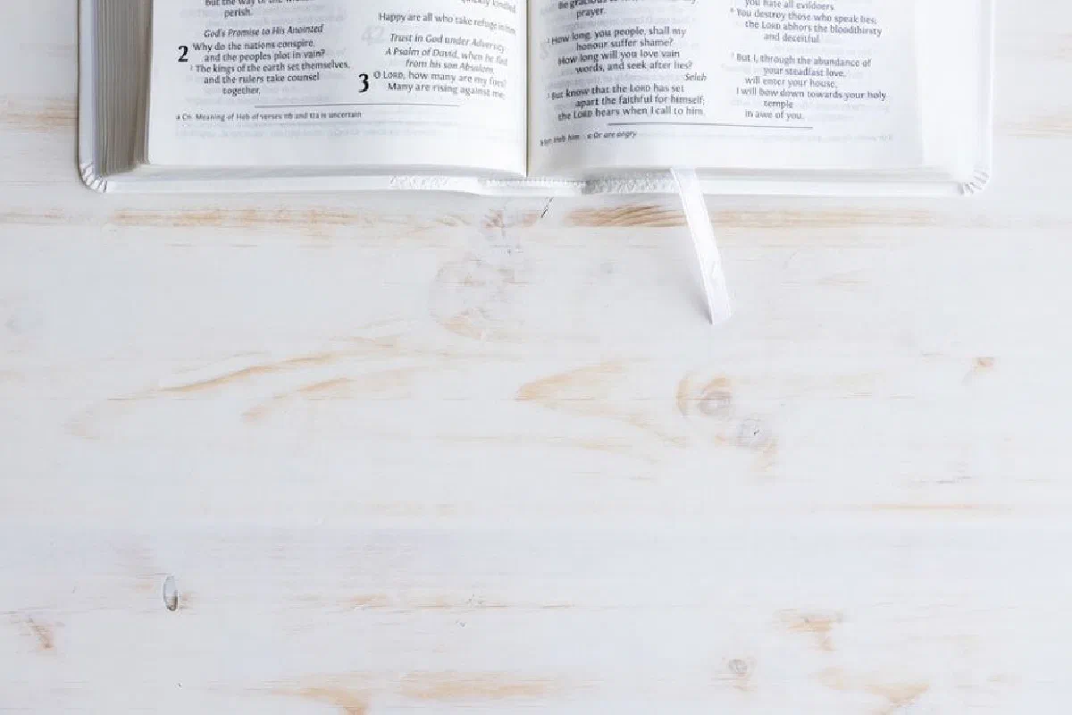What does the word "bible" mean?
