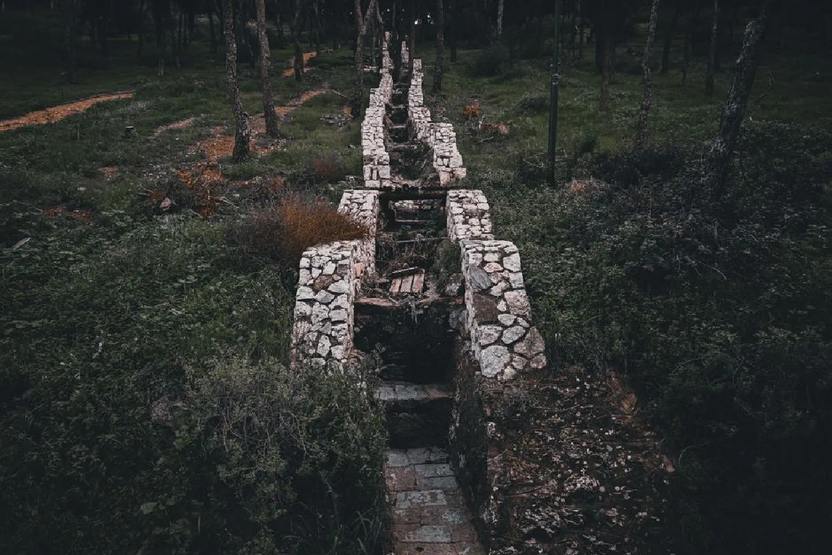 Aerial view of an abandoned stone pathway through a forest, evoking mystery and history.