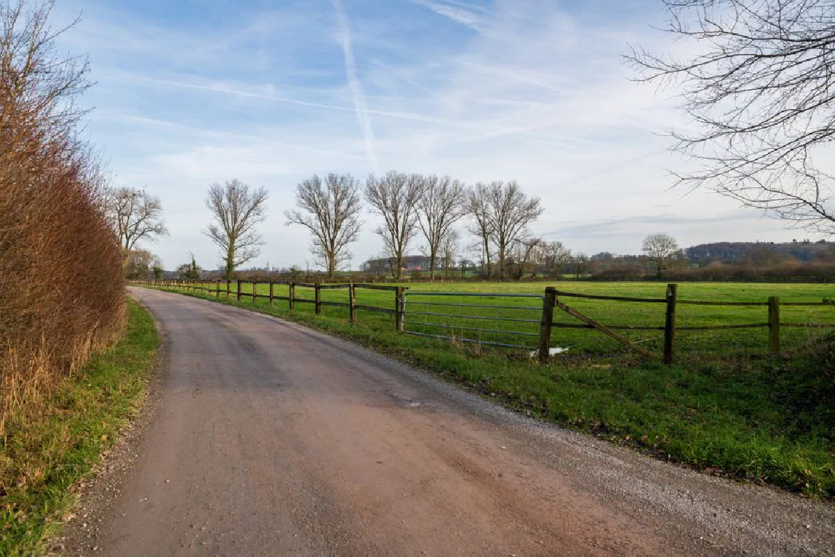 A peaceful countryside road curves alongside green fields and bare trees under a blue sky.
