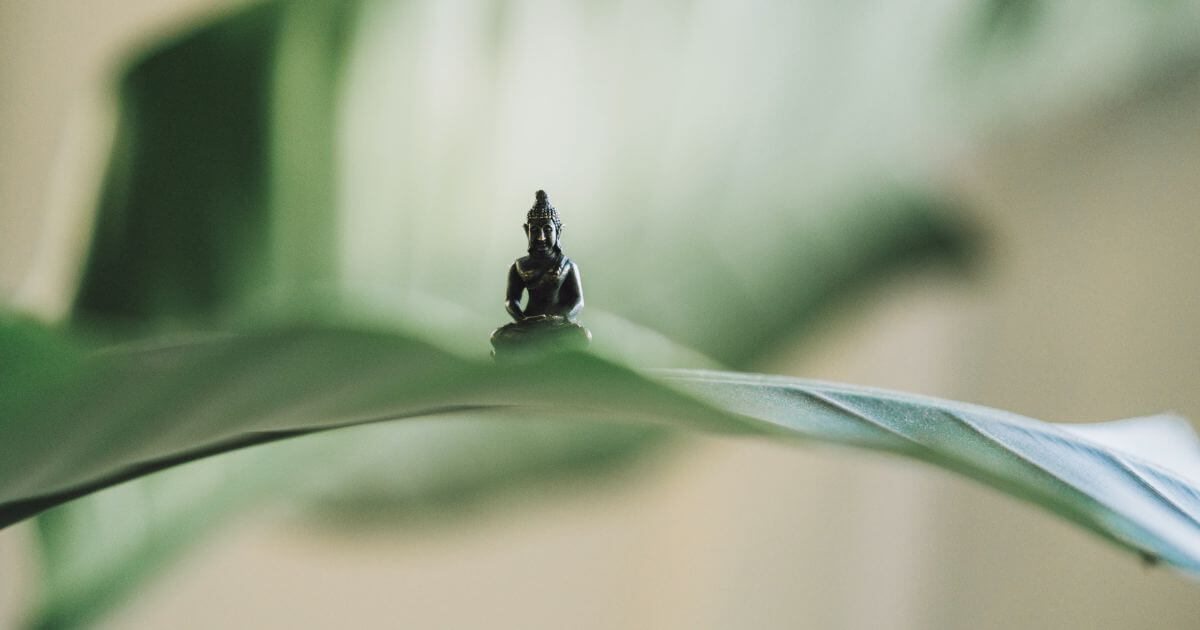 What do Buddhists believe? What is Buddhism?