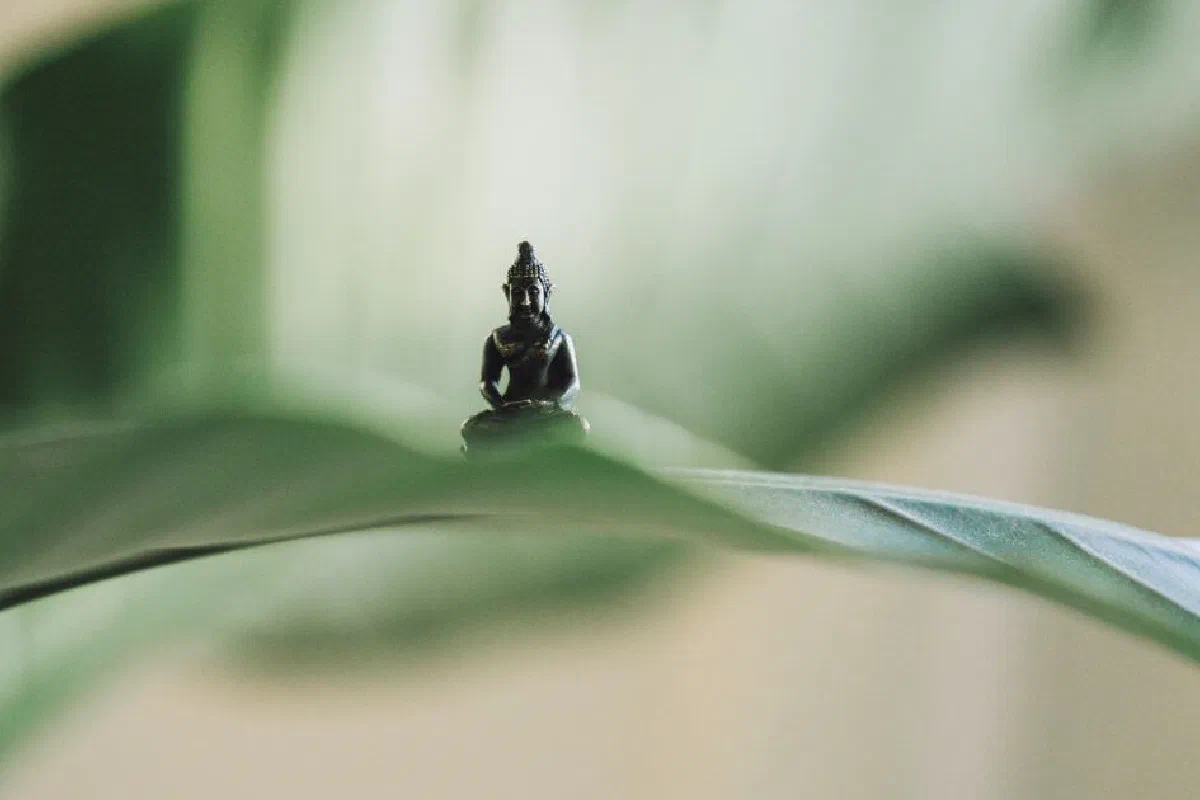 What do Buddhists believe? What is Buddhism?
