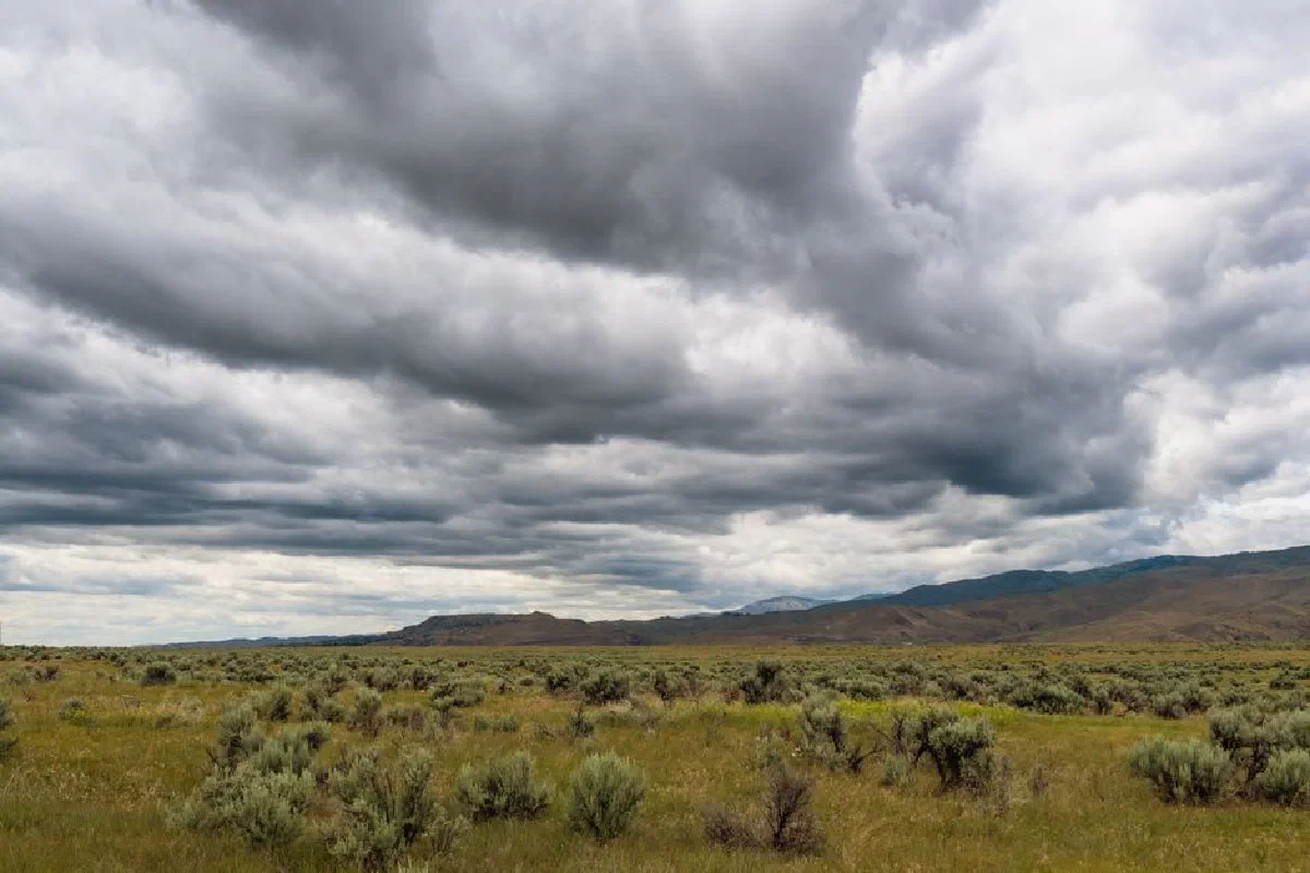 Scenery view of cloudy sky above grass lawn with plants near hills in overcast weather