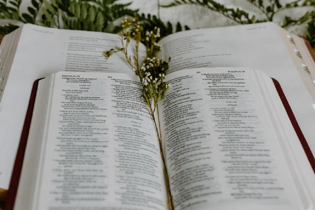 An open Bible with white flowers and ferns, creating a peaceful spiritual scene.