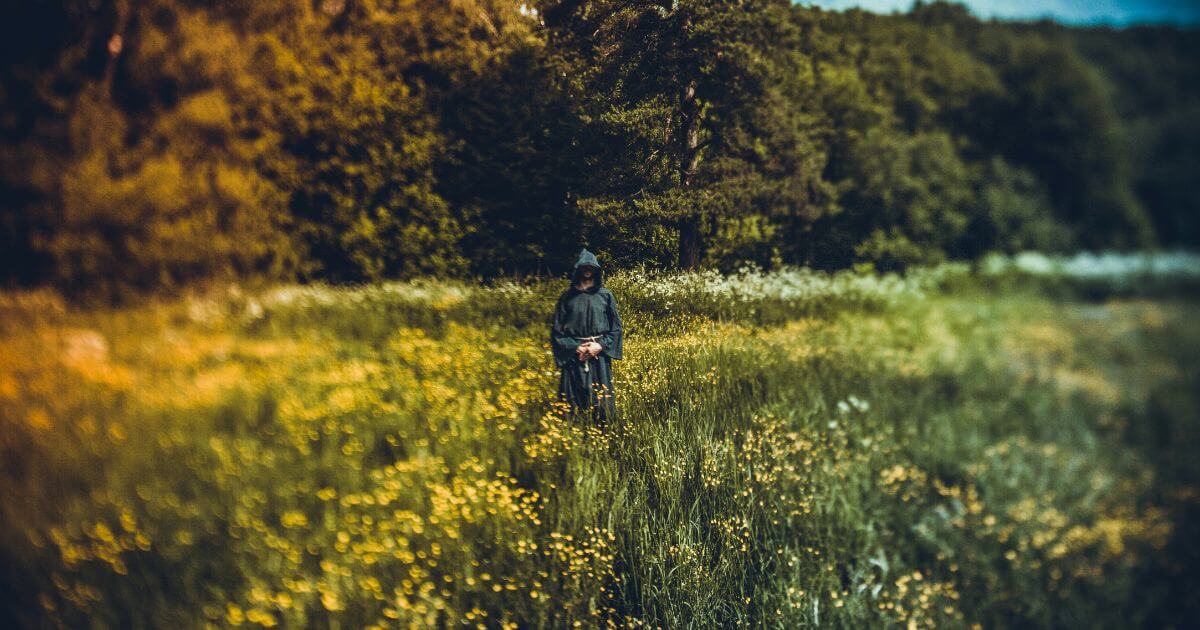 What is druidism? What is a druid?