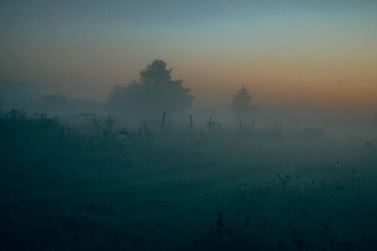 Serene misty sunrise over a rural landscape in Ukraine, capturing tranquil nature.