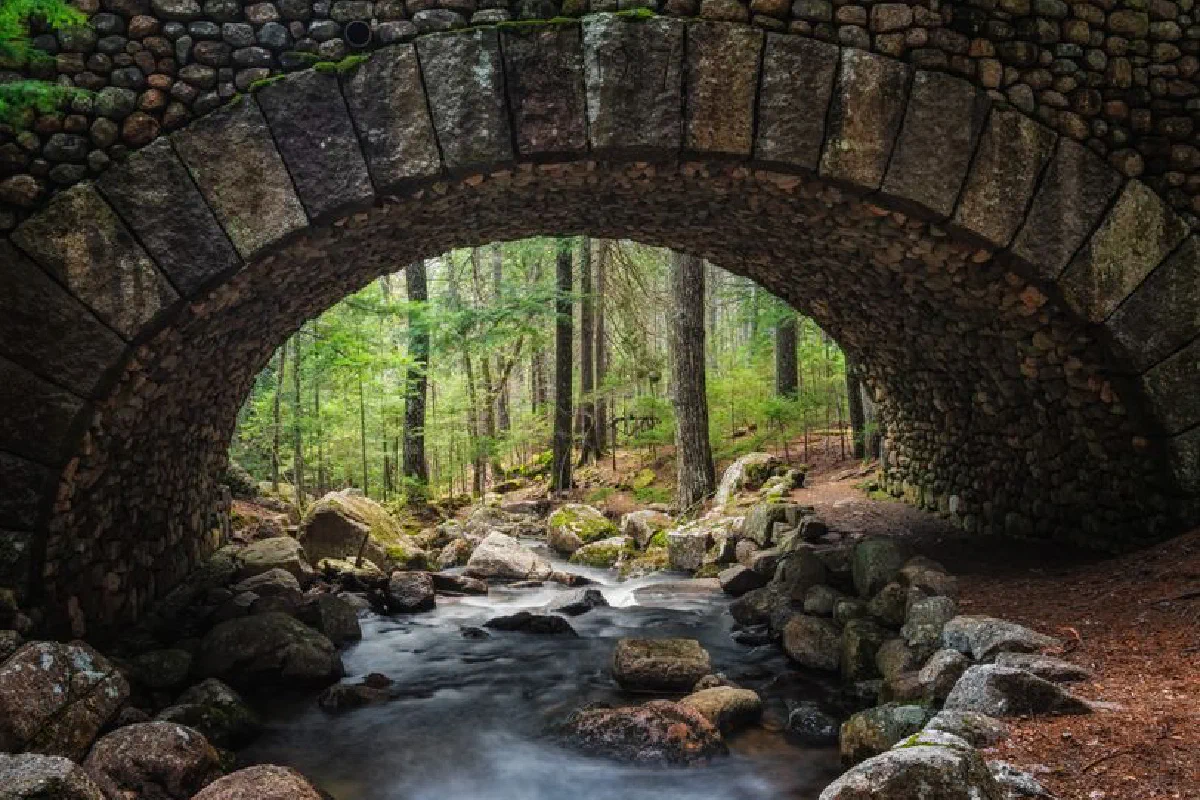 Amazing scenery of old stone arched bridge over narrow wild rocky river flowing through lush green forest in daylight
