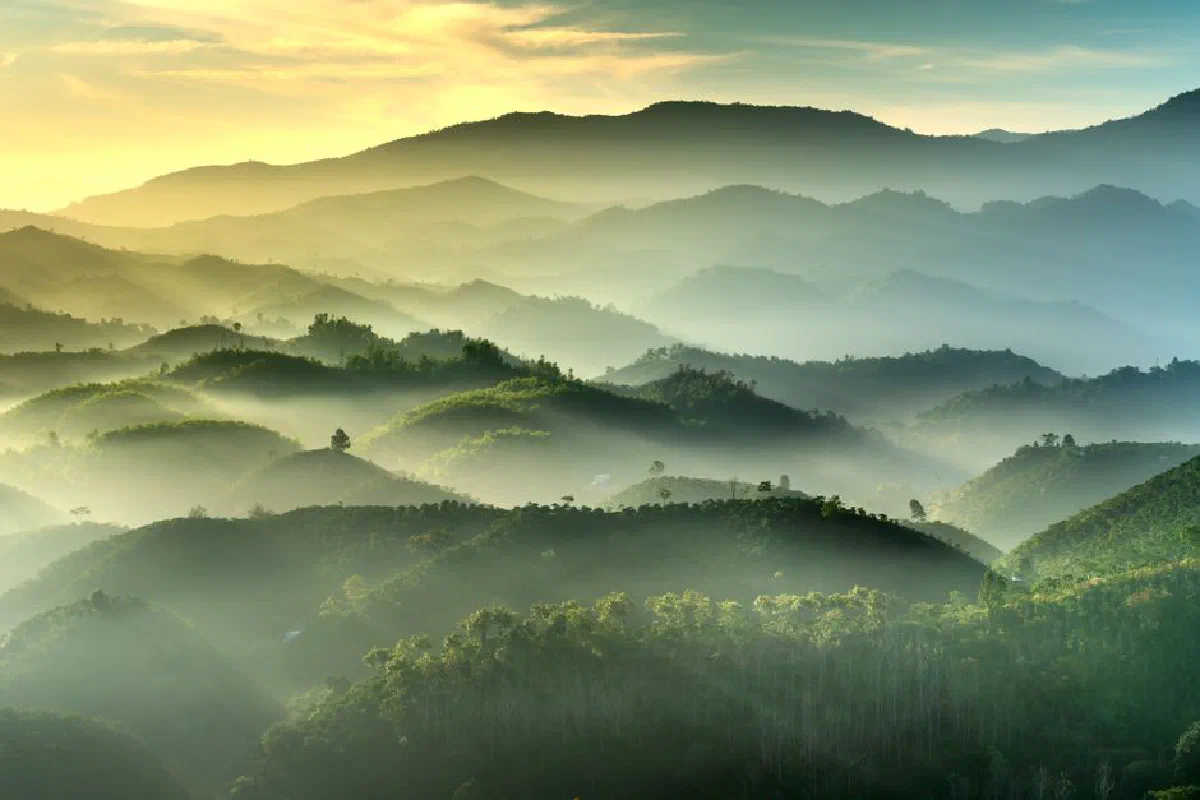 A serene landscape of misty mountain ranges illuminated by the soft glow of sunrise.