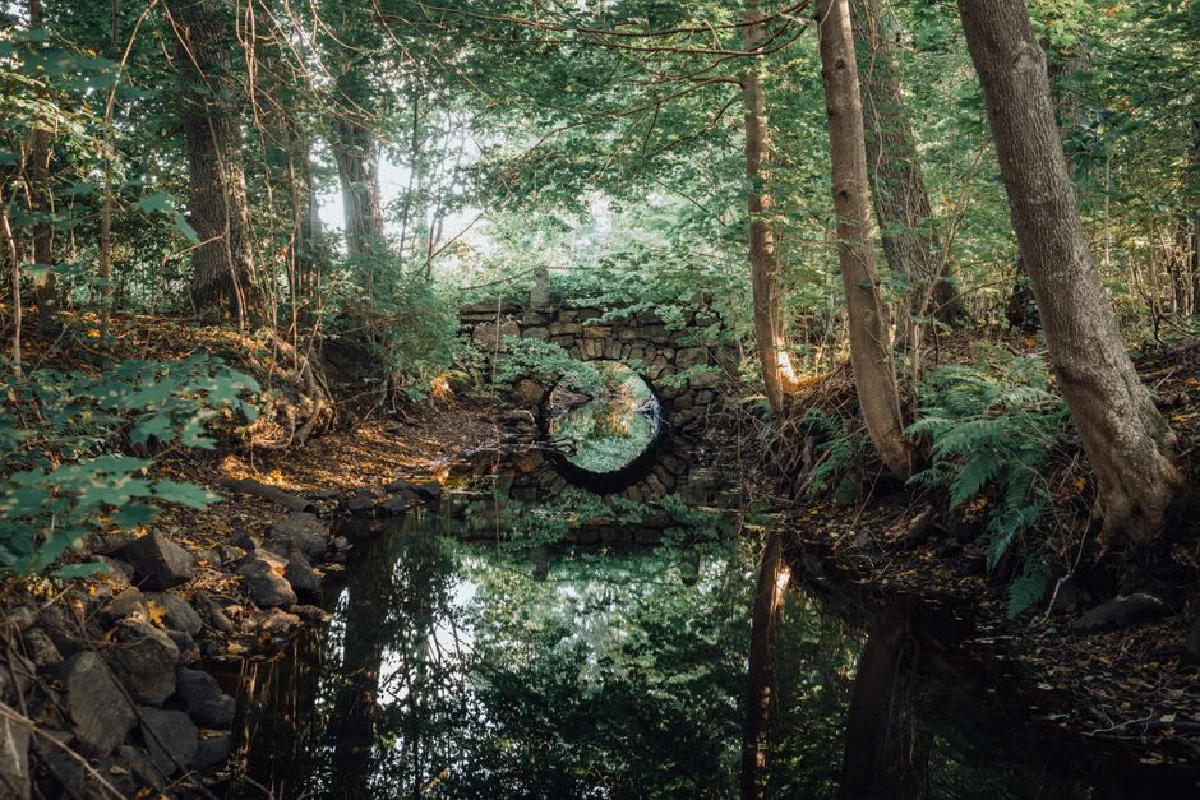 A tranquil forest scene featuring a stone bridge reflecting in a peaceful stream.