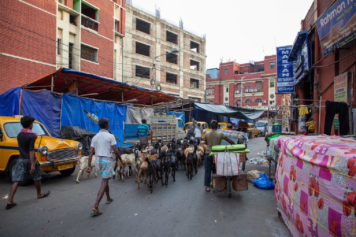 A vibrant Indian street market scene with people and goats amidst colorful urban buildings.